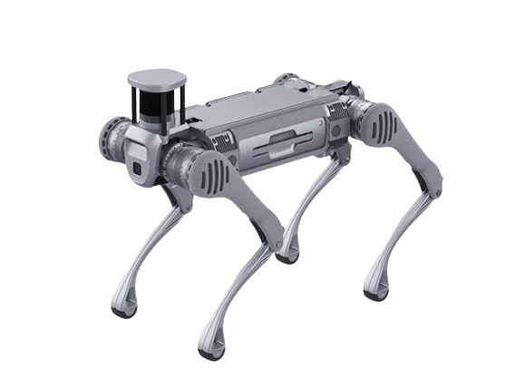 LiDAR Dog robot